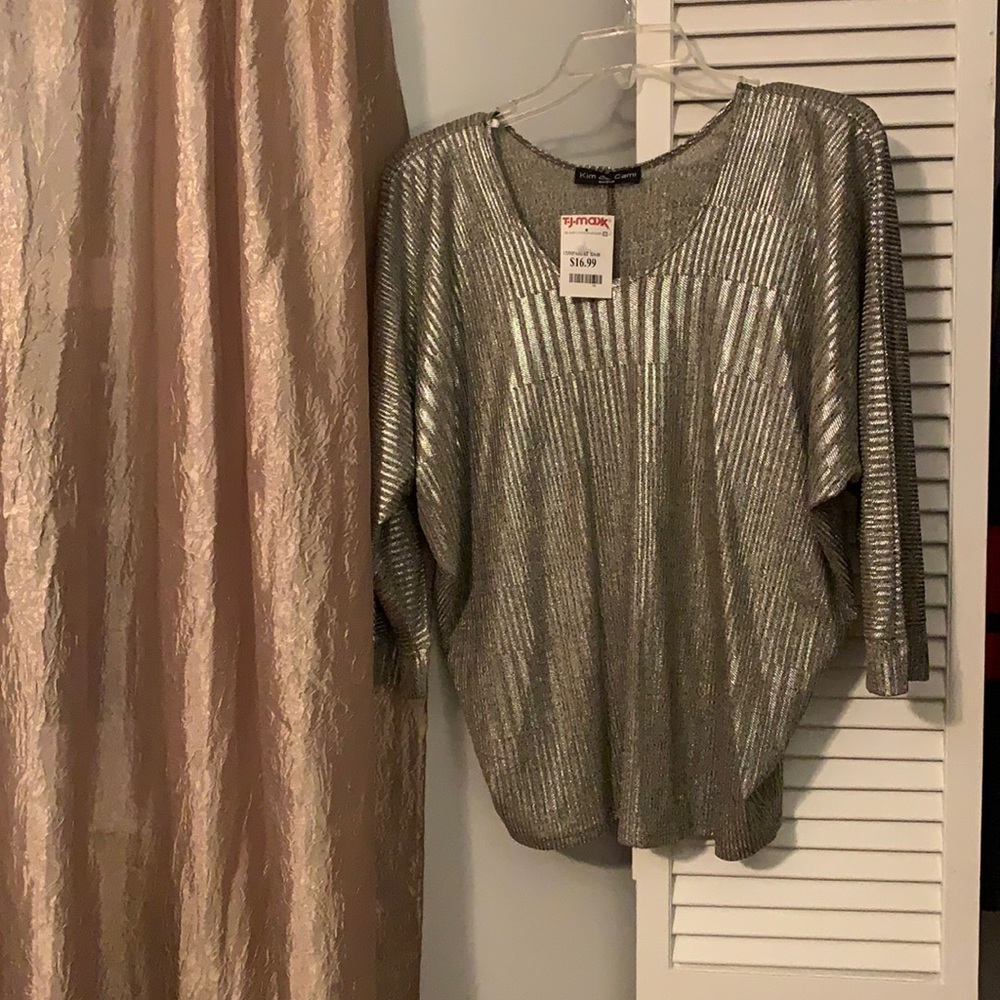 Shimmery Blouse NWT